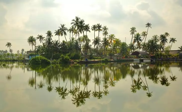 Kumbalangi Village Life