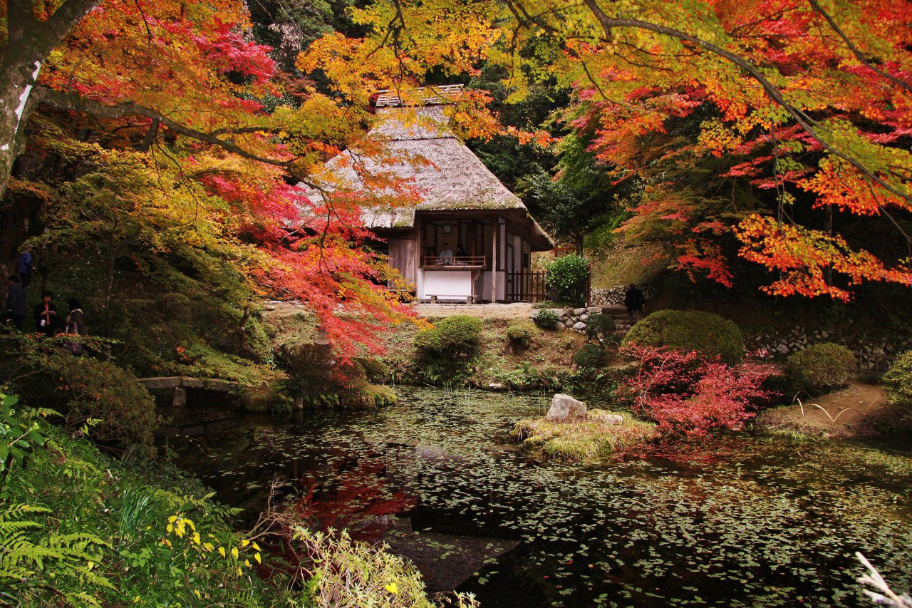 seasonal japan autumn