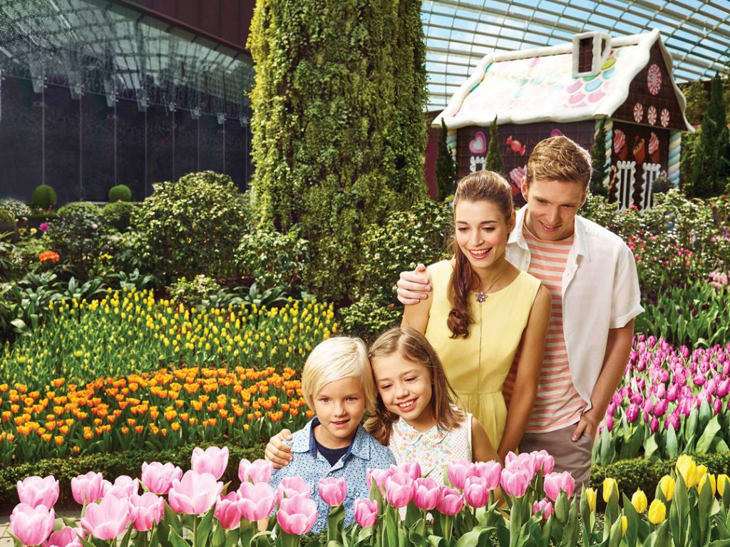 Gardens in the Flower Dome (image credit: Gardens By the Bay