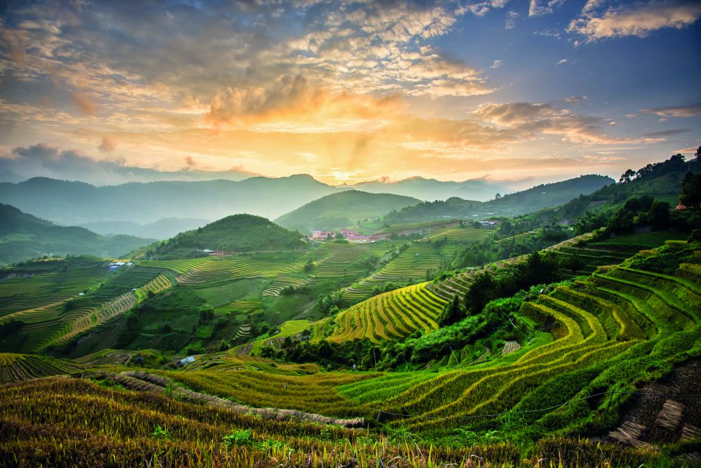 Sapa Rice Terraces