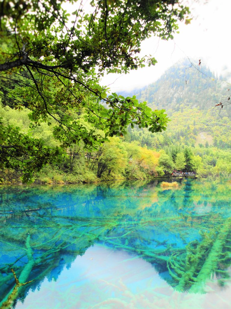 Lake in Jiuzhaigou National Park, Customer Corner: Lake in Jiuzhaigou National Park