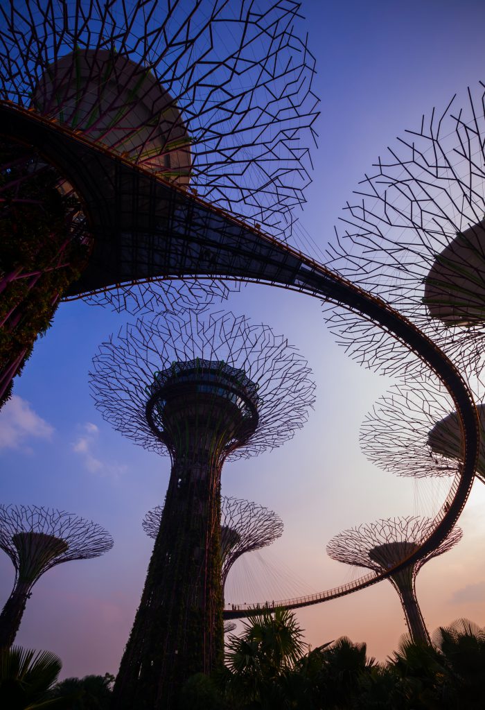 Super Tree at Twilight, Gardens by the Bay, Singapore, Hong Kong vs Singapore