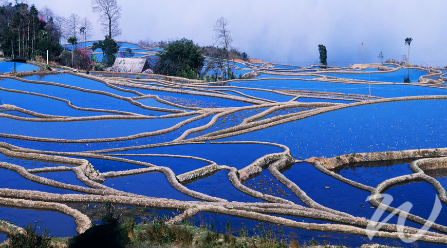 Blue Rice Terraces, Yuanyang, Undiscovered Yunnan