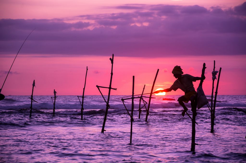 Stilt Fisherman, Sri Lanka, staff hotlist