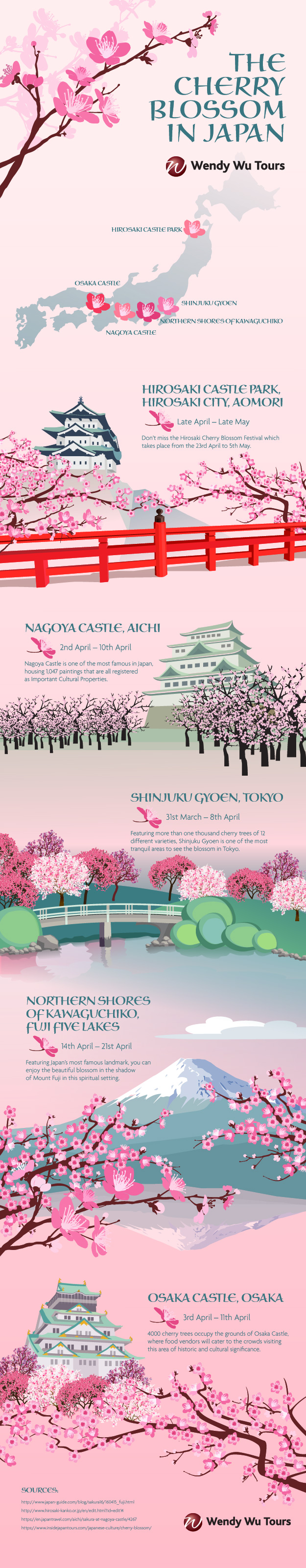 Cherry Blossom Infographic