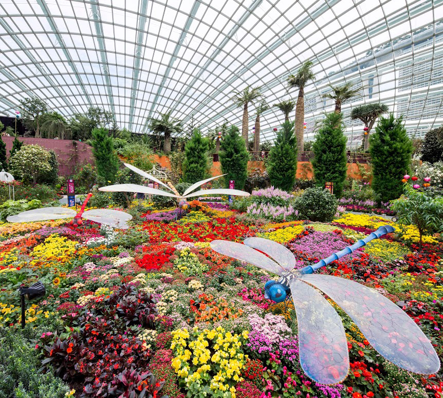 Flower Dome Floral Display Singapore's Gardens by the Bay