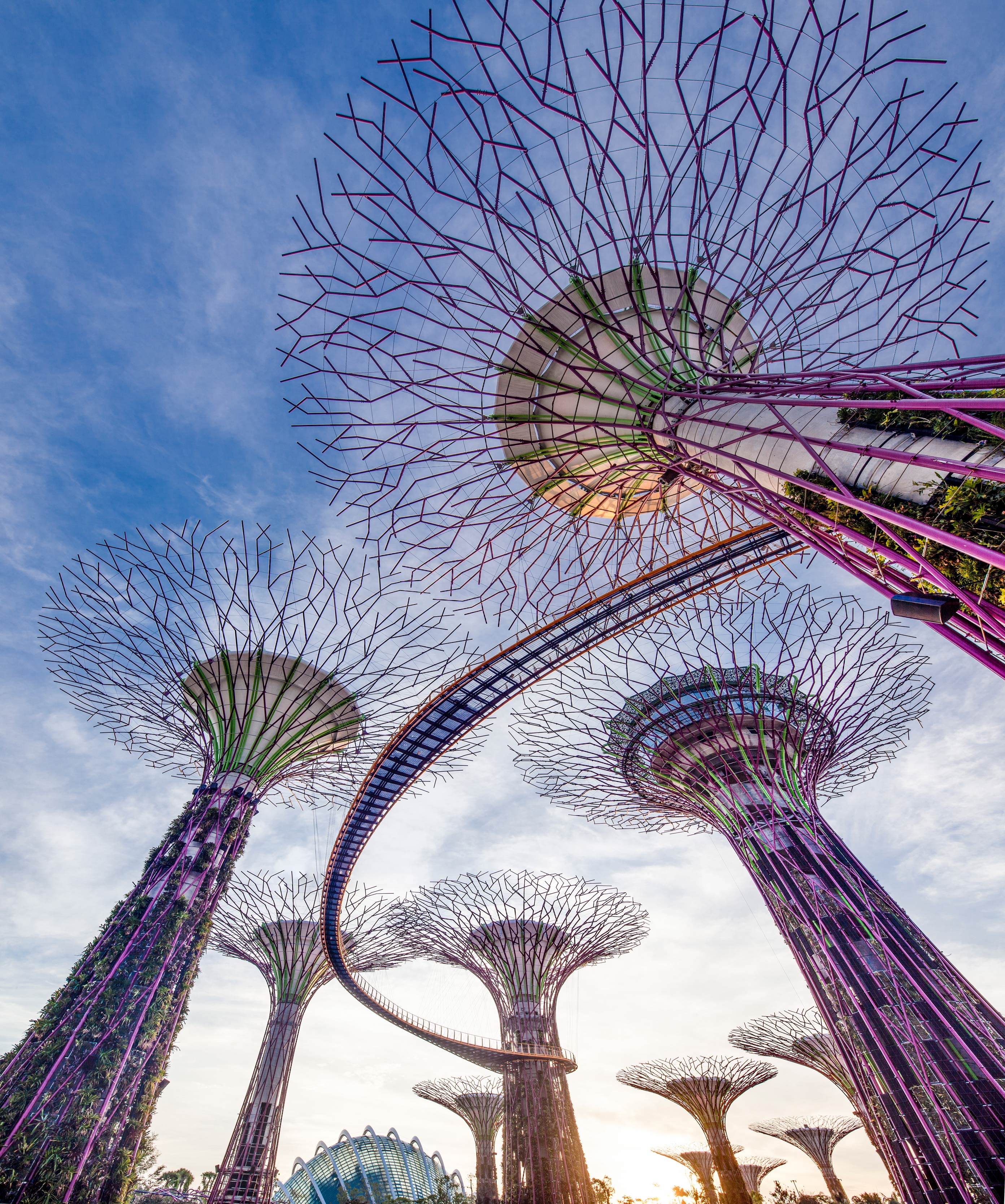 OCBC Skyway singapore's gardens by the bay