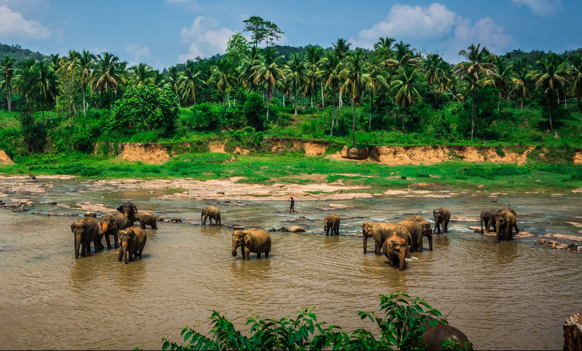 Sri Lanka Elephant Sanctuary, discover sri lanka
