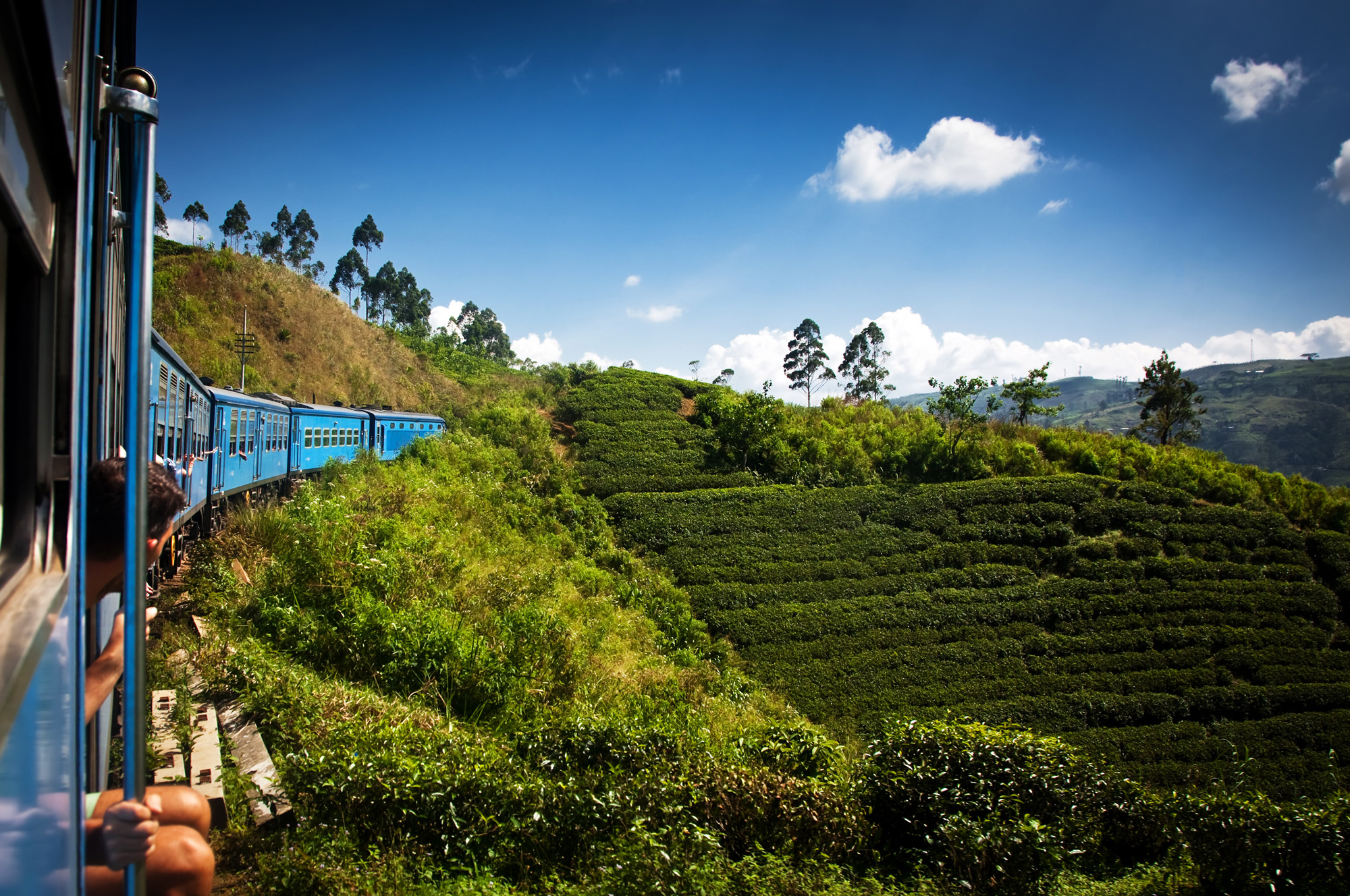 Tea plantation view from train, discover sri lanka