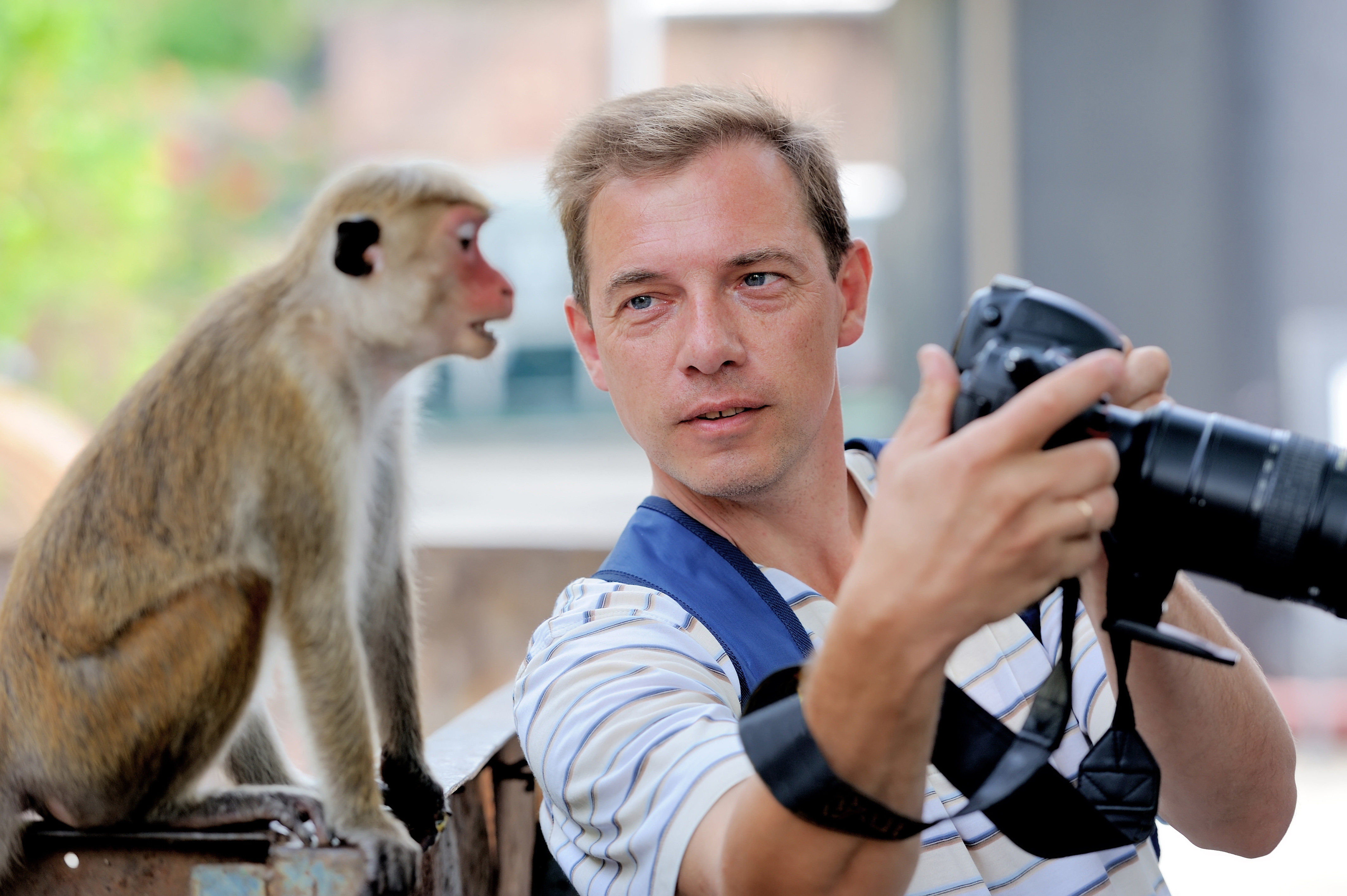 Photographer shows a monkey their picture! travel photography