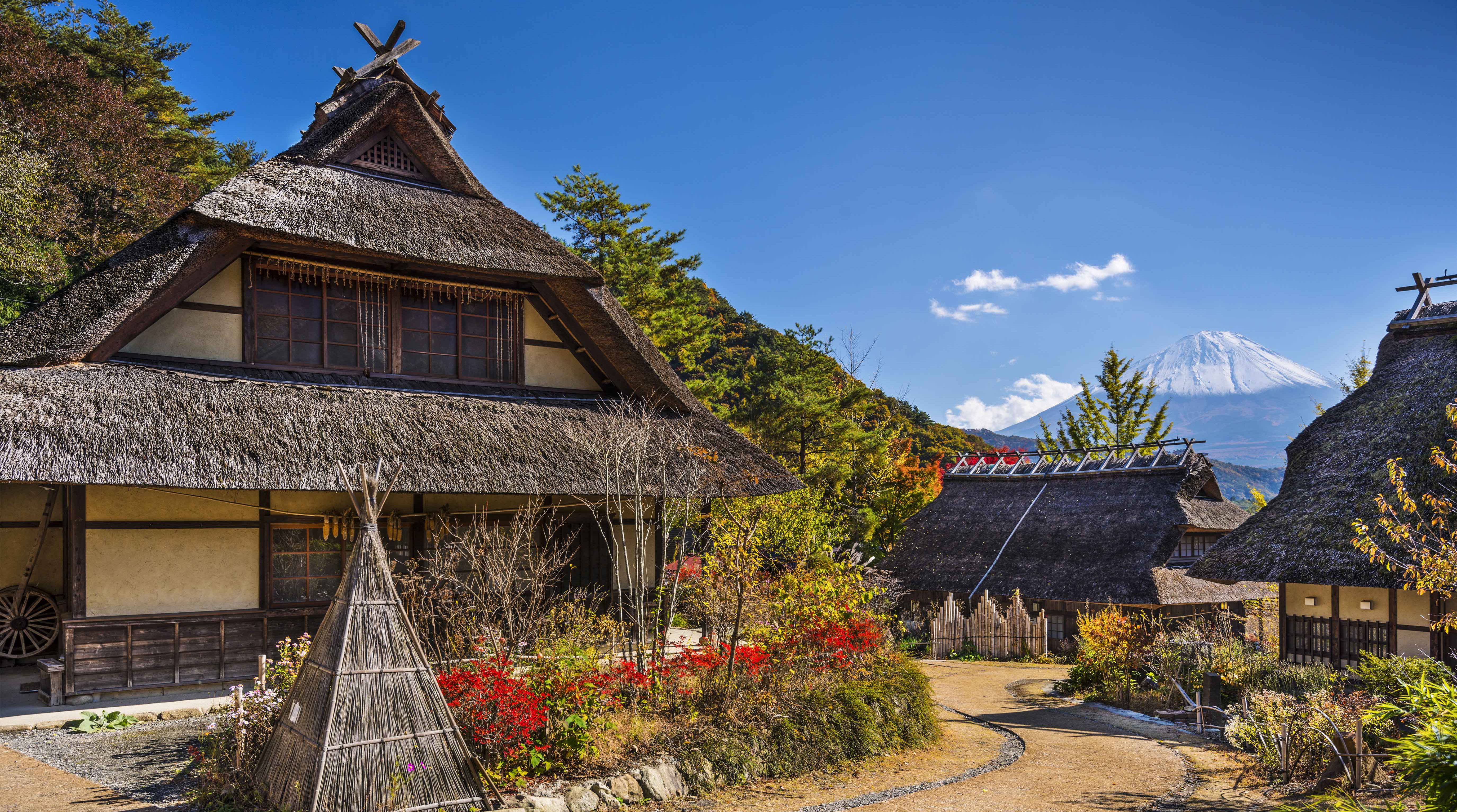 Iyashi No Sato Village and Mt. Fuji, traditional japan