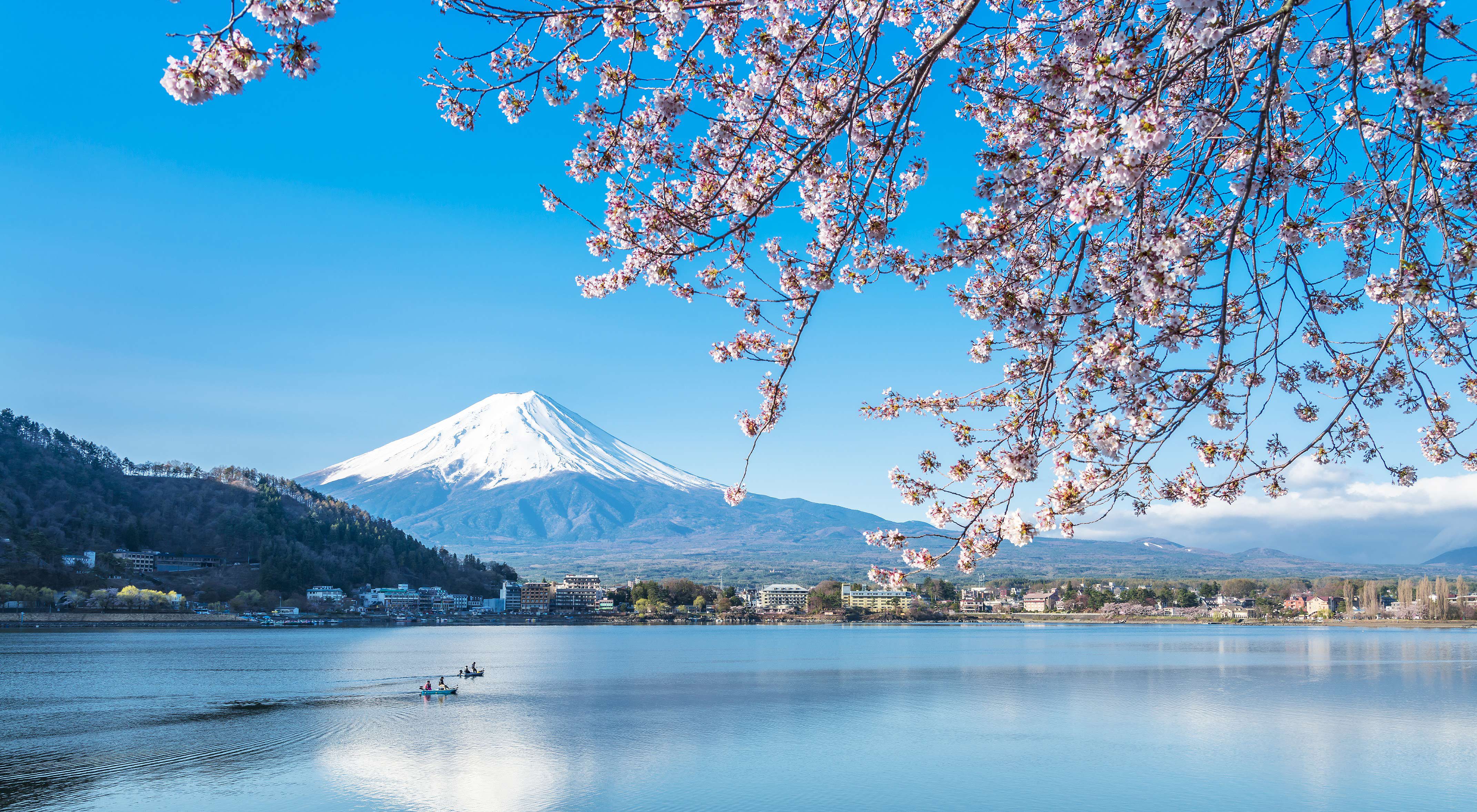 Mt. Fuji, traditional japan