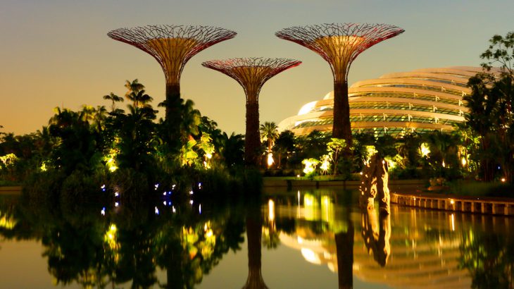 Gardens by the Bay at night, gardens by the bay