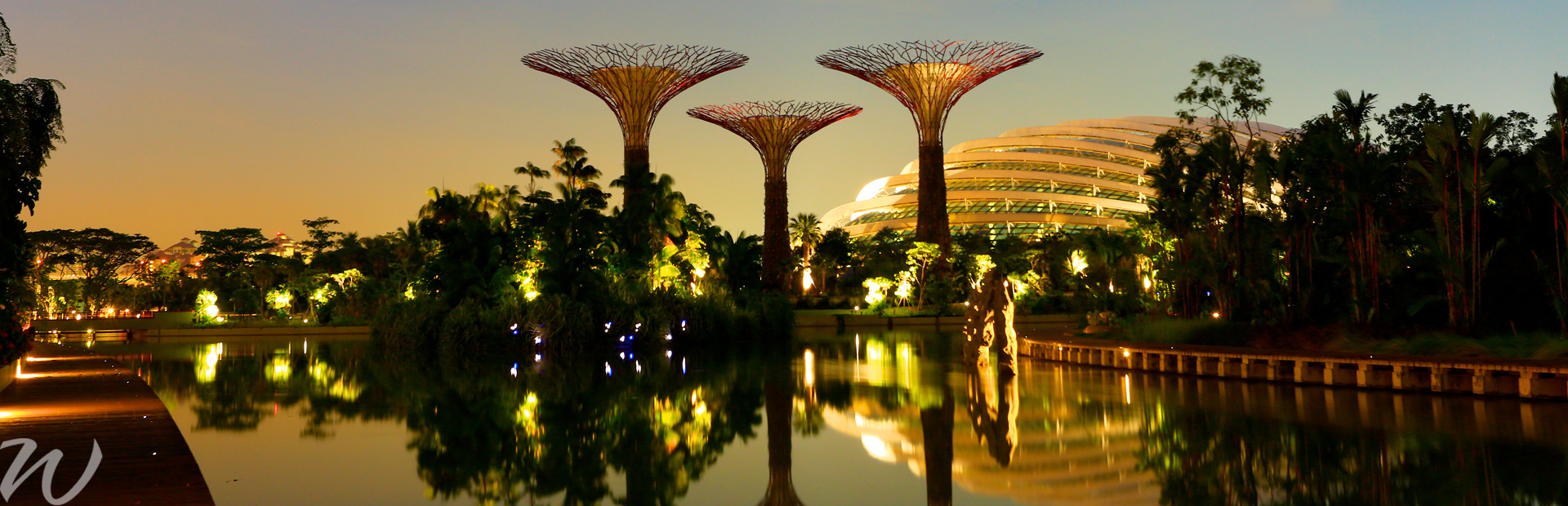 Gardens by the Bay at night, gardens by the bay