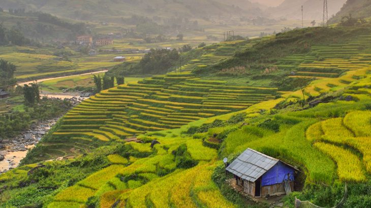 Sapa Vietnam, taste