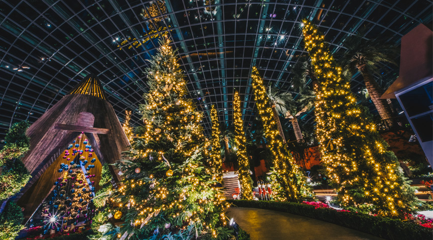 Christmas Trees in Gardens by the Bay, Singapore asia winter