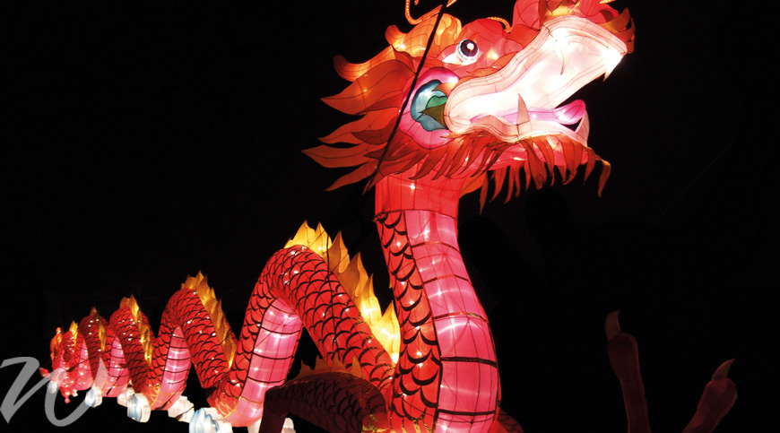Lantern-festival-xian, year of the dog