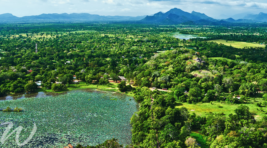 The view from the top of Lion Rock, tour Sri Lanka