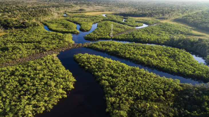 The Amazon River, South America