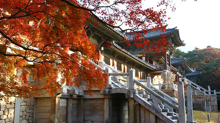 Bulguksa Temple, Gyeongju on a tailor-made holiday