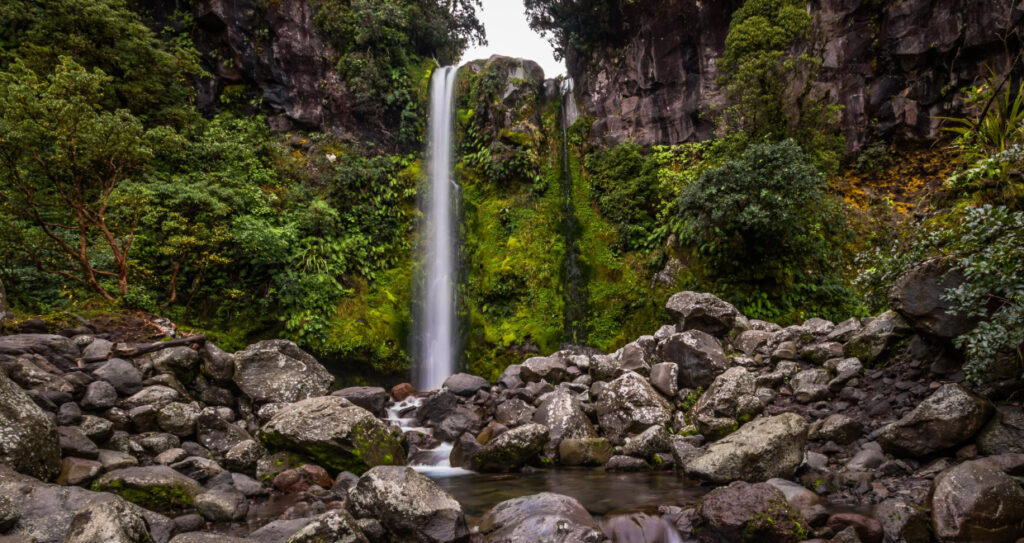 Dawson Falls surrounded by lush greenery