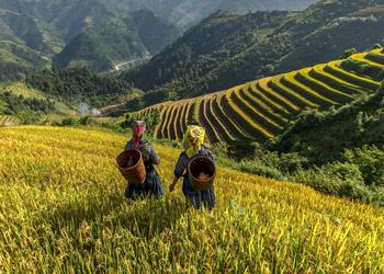 Discovery Vietnam Tours