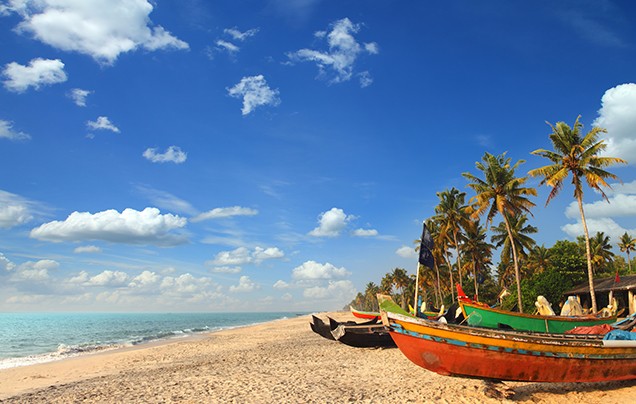 Day 3: Alleppey to Kochi