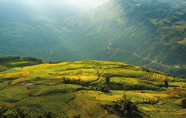 DAYS 4-5: Lush Rice Terraces