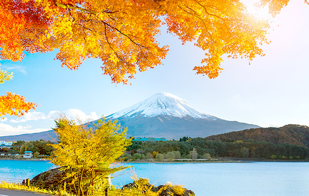 Day 5: Mount Fuji and Fuji Five Lakes