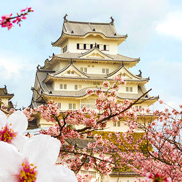 JEWELS OF JAPAN 