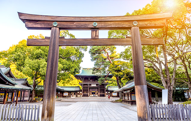 DAY 4: Meiji Shrine