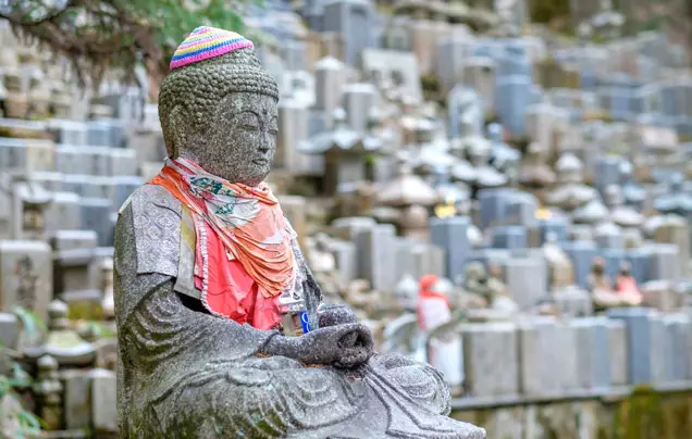 DAY 11: Morning Prayers