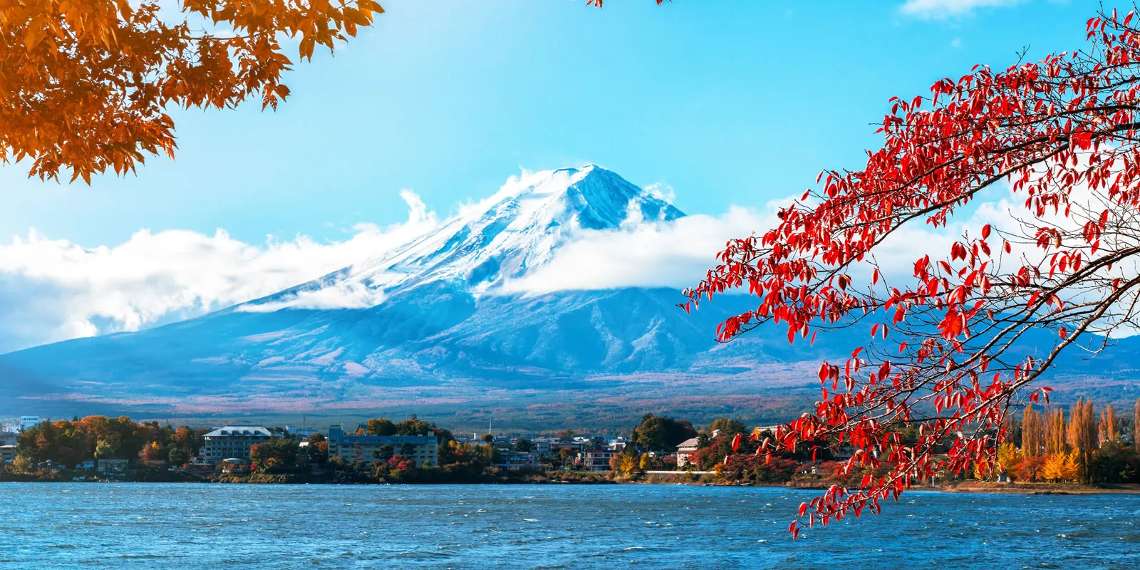 A Week In Japan