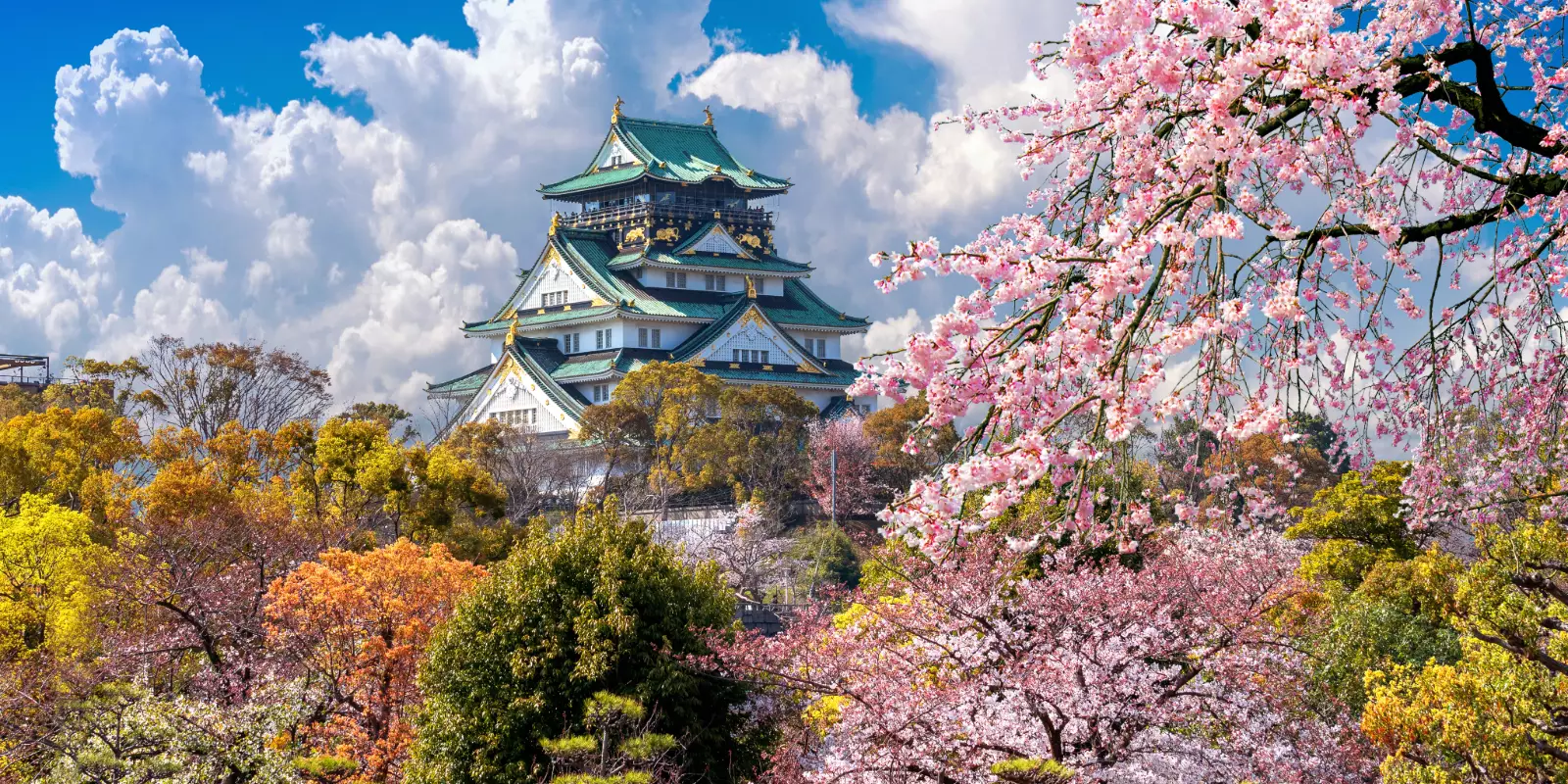 A Week In Japan