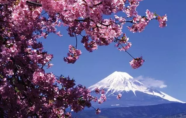 DAY 4: Mt Fuji