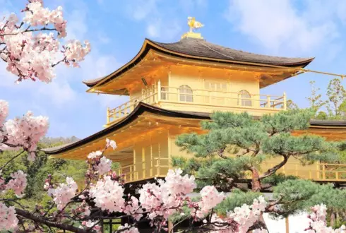 A Week in Japan