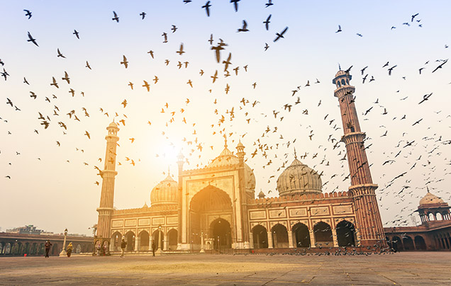 DAY 1: ARRIVE IN DELHI