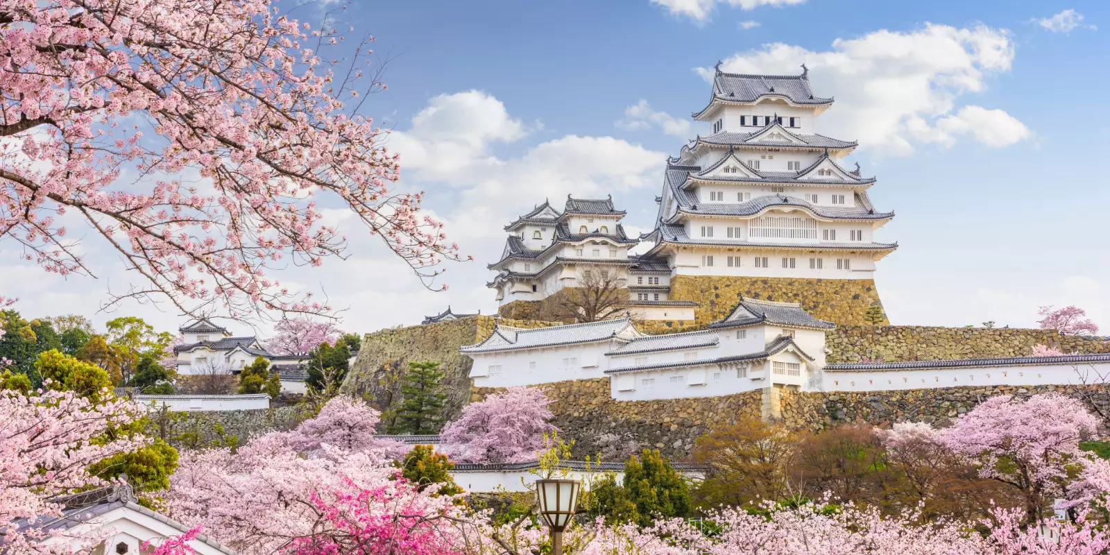 Japan Uncovered