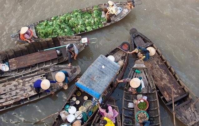 Day 12: Tiger Island