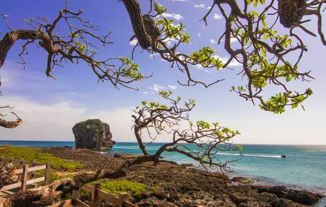 DAY 8: Visit Kenting National Park