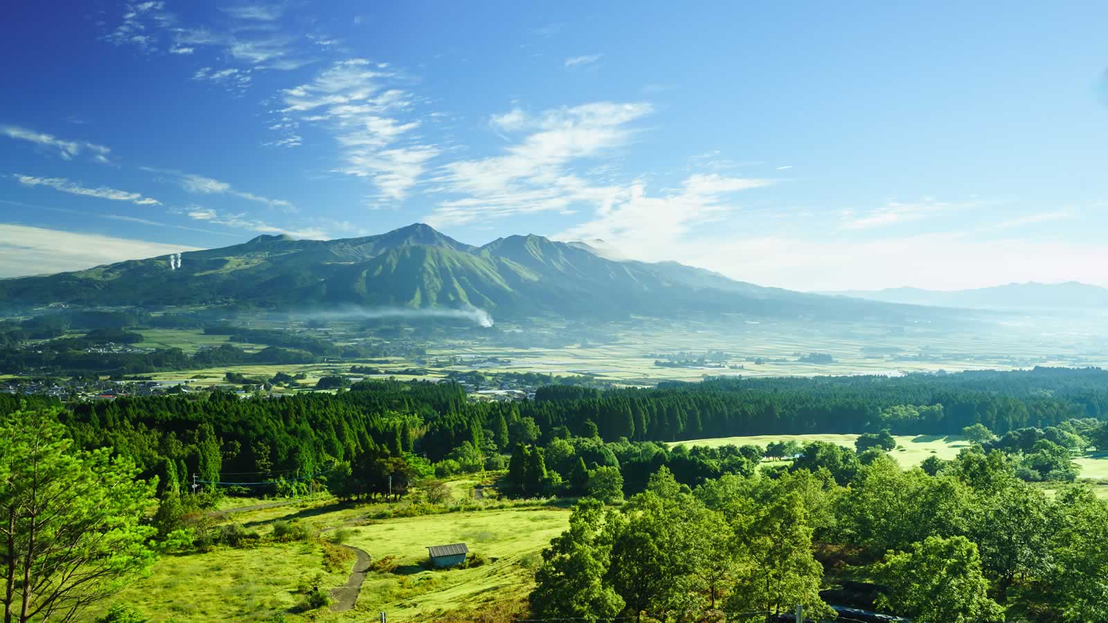 Japan & the Scenic South