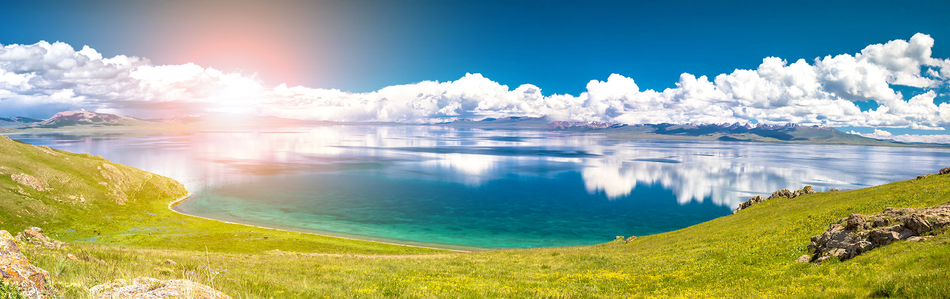 Save Up to 20% Off in 2022