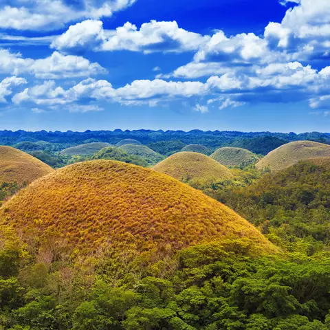 Chocolate Hills