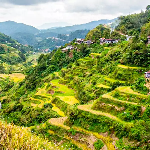Banaue