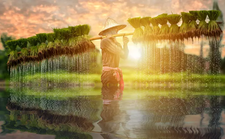 Candirejo Village Experience