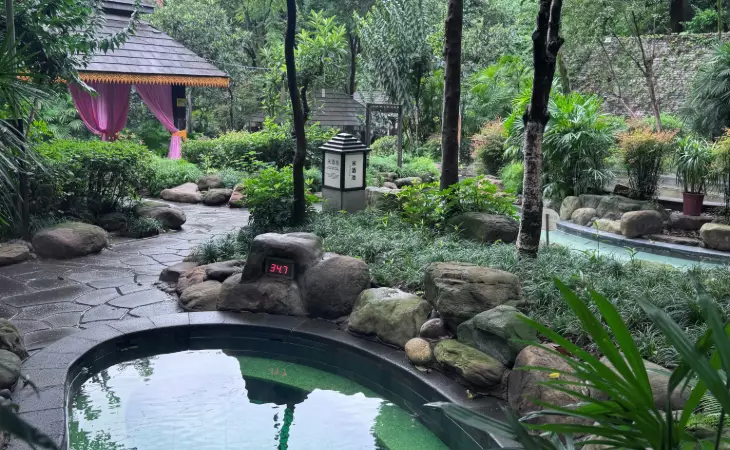 Relax in Hot Springs