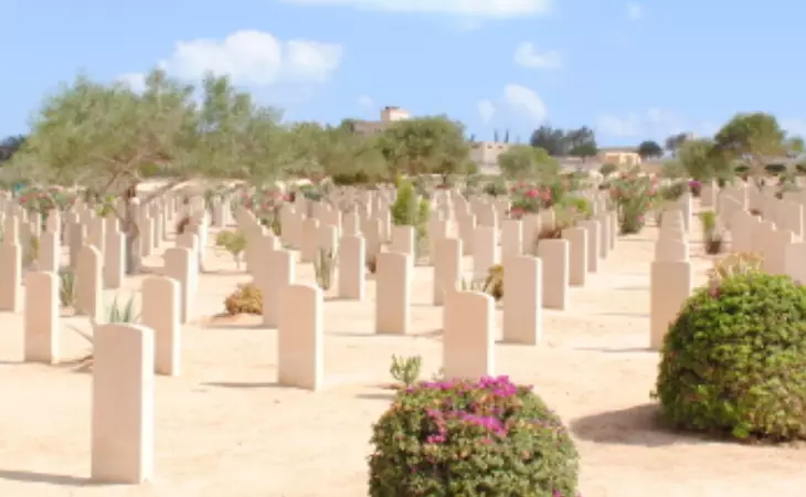 Absorb El Alamein's War History