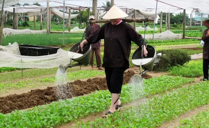 Tra Que Traditional Village