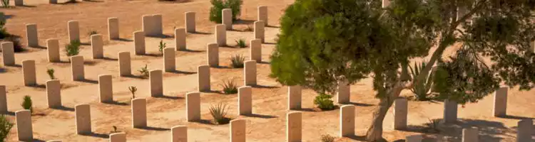egypt jordan tours from australia Absorb El Alamein's War History