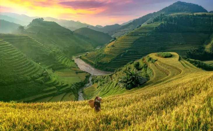 Discover the Hapao Rice Terraces